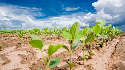 Agricultura, Agronegócio, plantio, inteligente, Bosch, agro, culturas, cultivo, manual Bosch, plantio inteligente, Bosch IPS.