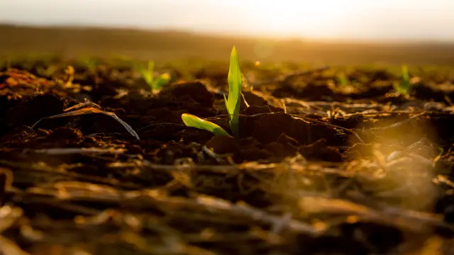 Por meio do seu consolidado know-how tecnológico em sensores, serviços e software, a Bosch possui amplo portfólio, desenvolvimentos e soluções o que a torna uma parceira ideal para as atividades agrícolas do Brasil.