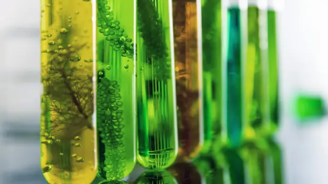 Design de Experimentos (DoE)