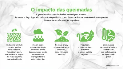Queimadas Plantações Evitar incêndio Campo