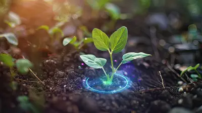 Campo aberto de agricultura