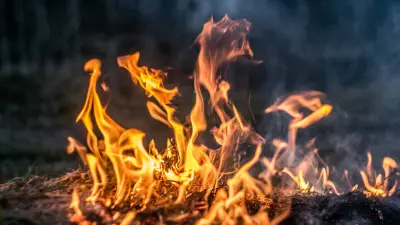 Queimadas Plantações Evitar incêndio Campo