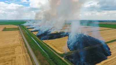 Como evitar incendios campo queimadas plantações