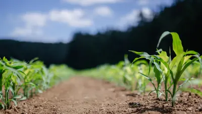 Ferramenta produtividade maquinário plantação