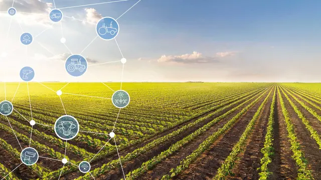 Agricultura, Agronegócio, plantio, inteligente, Bosch, agro, culturas, cultivo, manual Bosch, plantio inteligente