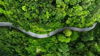 Transição energética, descarbonização, energias renováveis, biocombustíveis, carros elétricos, emissões de carbono, transportes, mobilidade, sustentabilidade
