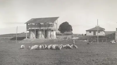 Moderne Landwirtschaft